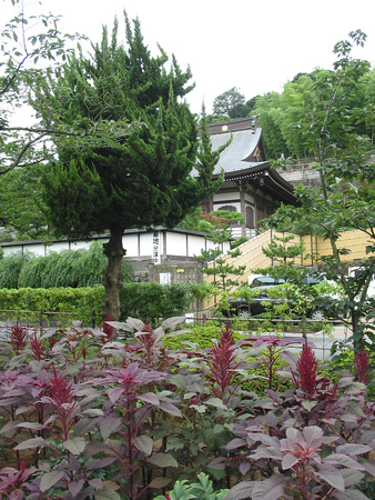 Garden of Kenchoji Temple, Kamakura