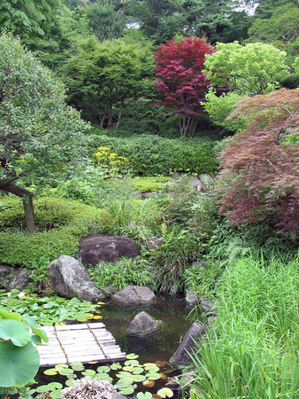Garden of Hase Temple, Kamakura