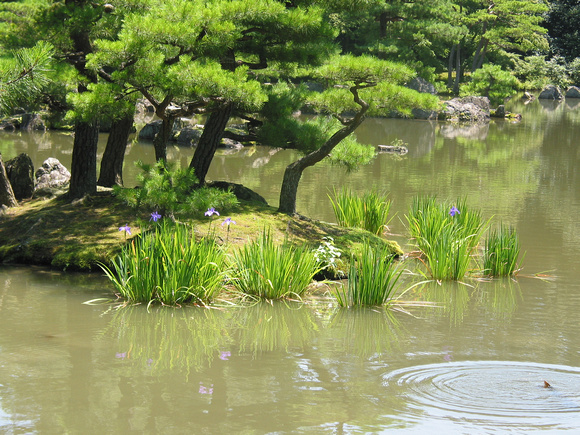 Kinkakuji (Golden Pavilion)