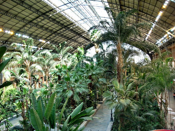 Tropical garden in Atocha Train Station