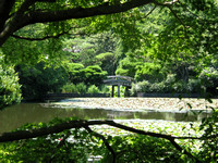 Ryoanji Temple, Gardens