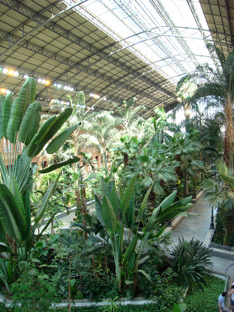 Tropical garden in Atocha Train Station