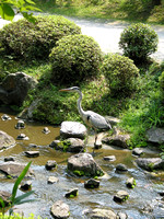 Heian Shrine's Gardens